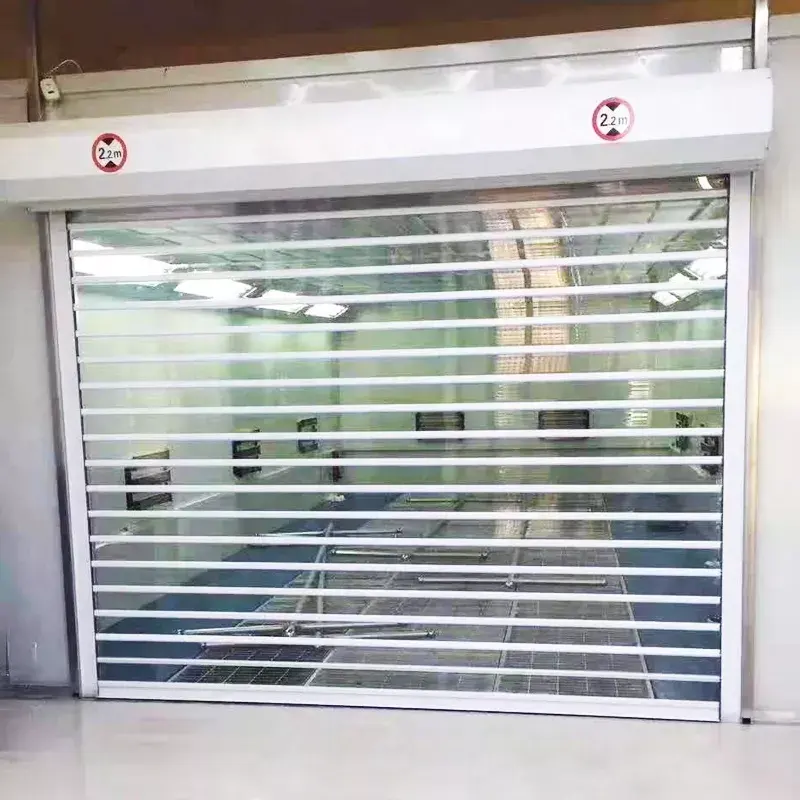 Electric Transparent Polycarbonate Roller Door image 1
